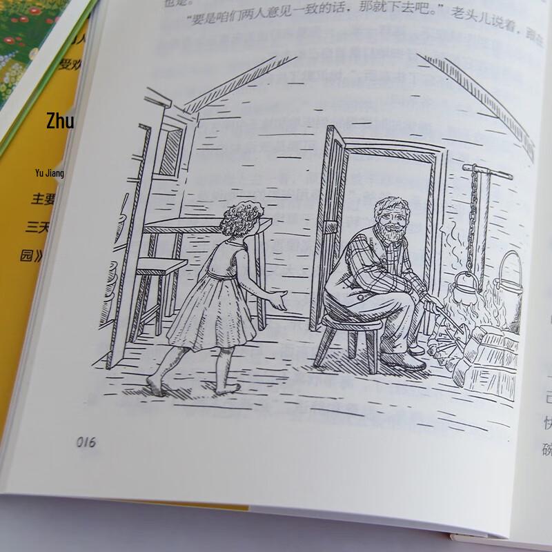 Heidi Illustrated Classic Children's Novel