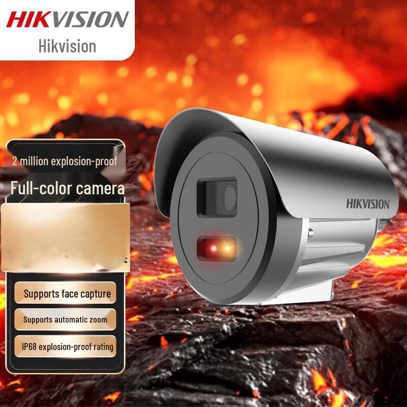 

Hikvision Explosion-Proof Surveillance Camera CN plug (adapter included) 2MP