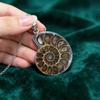 Shell Pendant With Polished Shell Beads For Style Jewelry