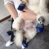 Waterproof Dog Socks Non-slip Dog Shoes Pet Outdoor Shoes Pet Dog Socks Anti-dirty Pet Shoes