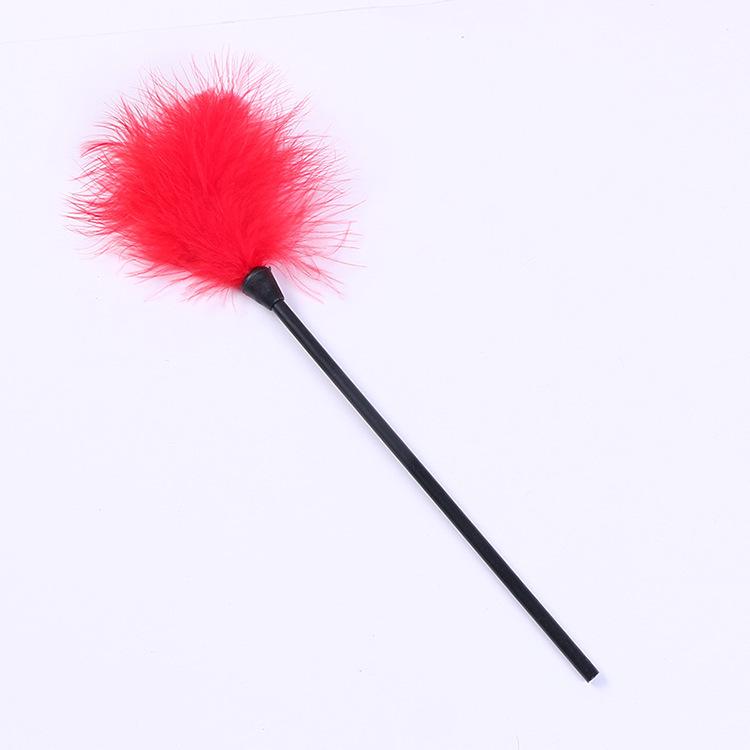 Erotic Feather Teaser Stick - Adult Flirting and Foreplay Aid, Alternative SM Toy Set