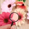 12pcs Mini Magnifying Glass Office Study School Portable Supplies for Newspaper Magazine Reading Outdoor Nature Observation XJM