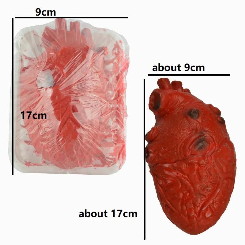 Horrifying Halloween Props Fake Bloody Heart Brain Rubber Organs for Party Decorations Human-Sized Torso & Bloody Body Parts