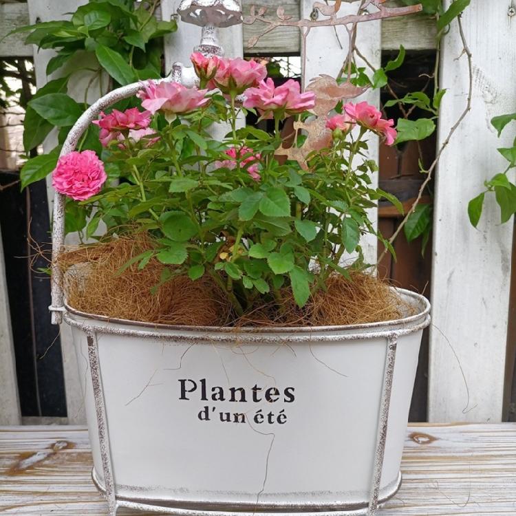 Green Ovals Planter With Decorative Spout High Leg Flower Stand Outdoor Planter For Garden Balcony