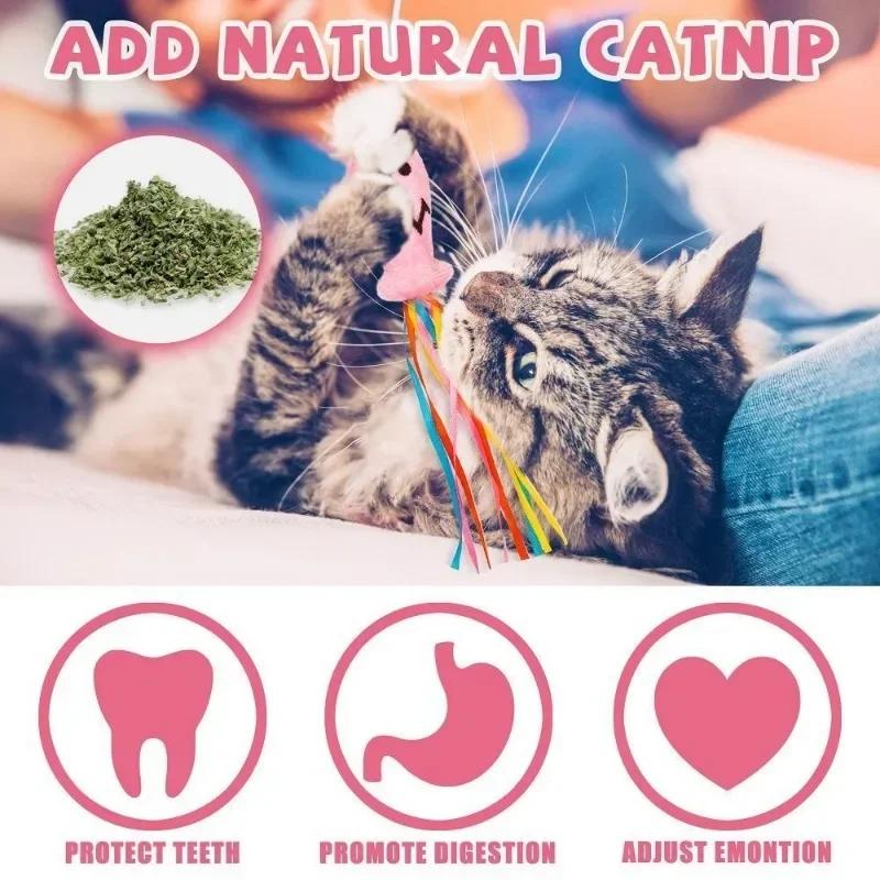 Fashion Cat Wand Toy, Natural Wooden Cat Teaser Wand for Cat, Interactive Elastic String Cat Stick Pole Toy for Indoor Cats