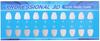 Proffesional 3D Color Guide, Tooth Whitening Shades, 20 Colors