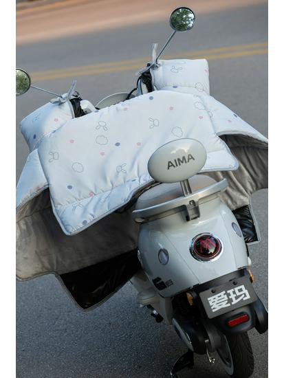 2026 Windproof Quilt: Universal Electric Motorcycle Winter Cover with Fleece Lining and Cold Protection for All Seasons