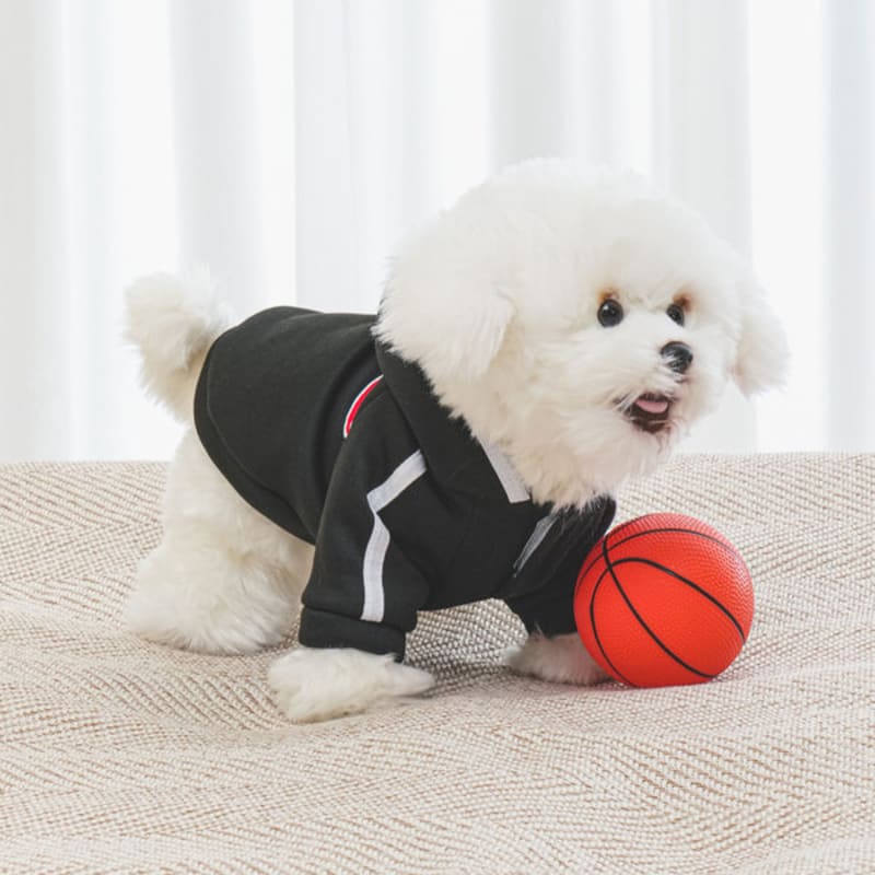 [Pet] Tréninková souprava s kapucí M Černá