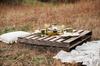Enamel Salad Plate Set Outdoor Olive Drab [Barebones Living] 2-Tone