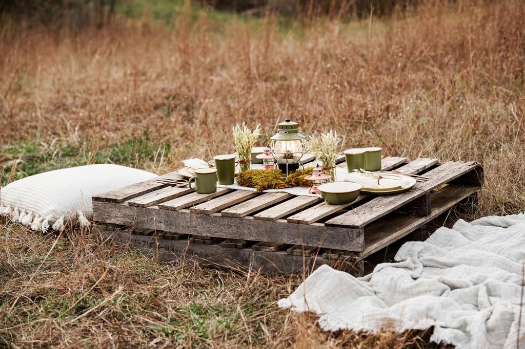 Enamel Salad Plate Set Outdoor Olive Drab [Barebones Living] 2-Tone