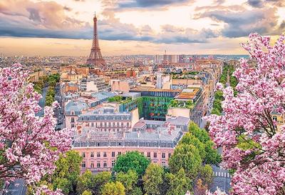 In Beverly 500 Small Piece Jigsaw Blooming Paris X 38 [Made Japan] Puzzle, (26 Cm) 500S-021