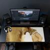 Ernest & Celestine Poster Mouse Pad, Large Gaming Desk Mat, Non-slip XXL Mousepad for Laptop & Tablet, Mini PC Playmat with Stitched Edges