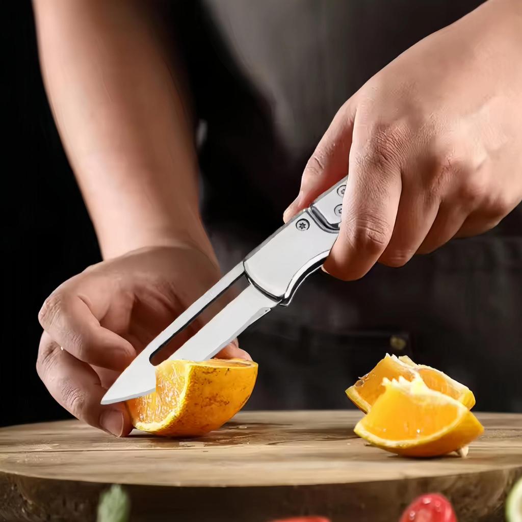 Outdoor Folding Knife Fruit Knife Stainless Steel Camping Knife Mini Mechanical Folding Knife Keychain Carrying Pocket Knife