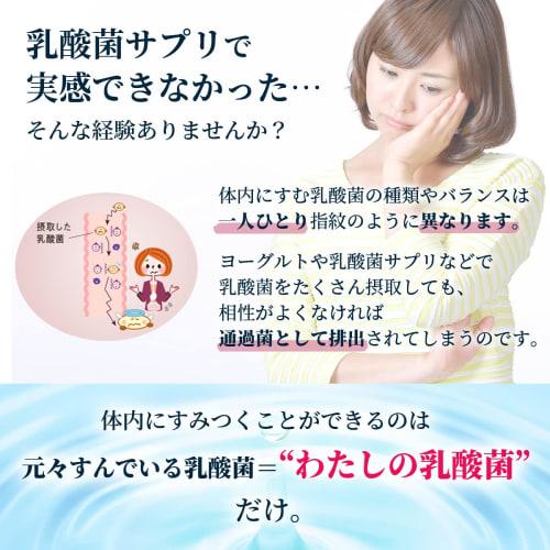 Chitsu Lactic Acid Bacteria Extract, 10ml x 6 Bottles, Approximately 1 Month Use, Lactic Acid Bacteria Supplement, Bifidobacteria Probiotic, Lactic Ac