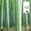 Bamboo Tile Decorations: Hollow Halved Bamboo Tubes for Floral Arrangements, Weddings, and Kindergarten Environments