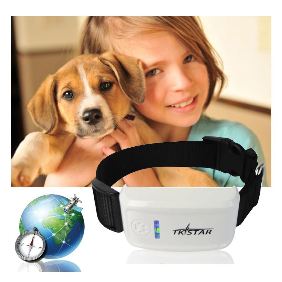 Professional GPS Tracker GPS Collar Waterproof Real Time Locator for Pets