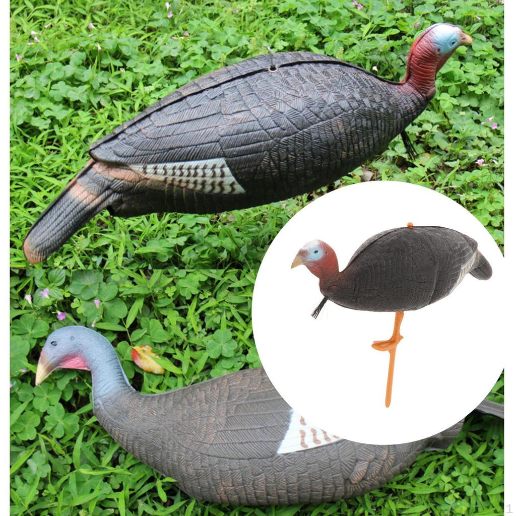 Buy Inflatable Turkey Decoy for Hunting, Size to Choose From at
