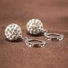 Earrings Water Diamond Round Ball Drops Embrace Earrings