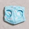 Pet Dot Harness (2000)