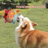 Dog Chew Toy Cloth Dog Toy for Aggressive Chewers Stuffed Teether Toy for Training Cleaning Teeth Interactive Toy Multicolor
