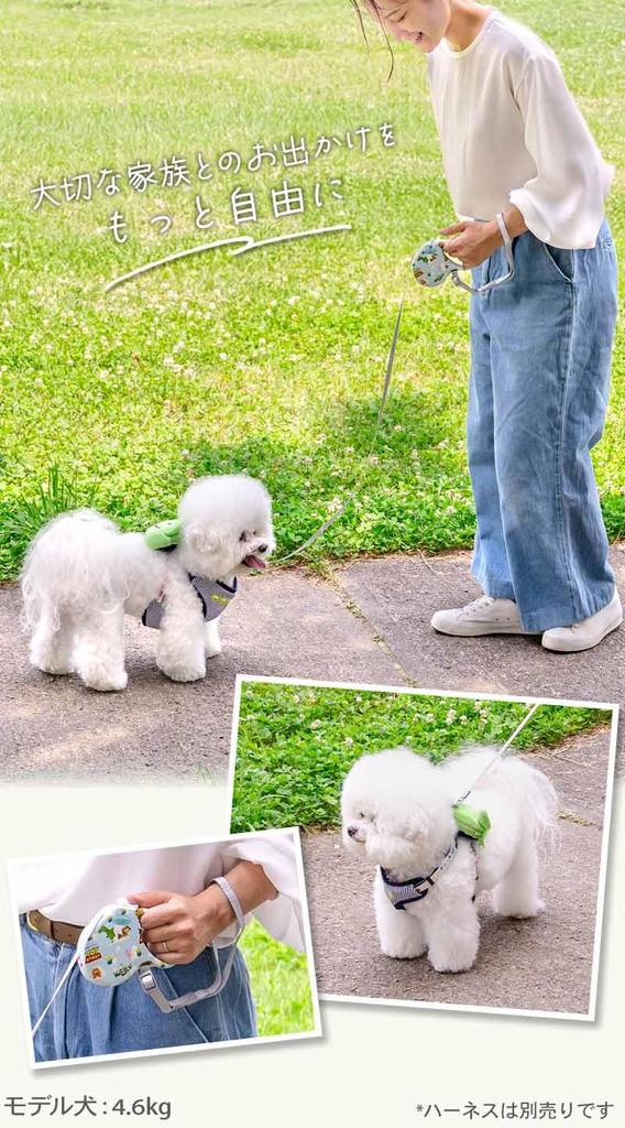 Pet Paradise Dog Disney Retractable Leash Disney Toy Story