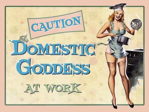 

Domestic Goddess Retro Metal Tin Sign Poster Plaque Garage Wall Decor A4Aluminum 20x30cm（7.8x11.8inch）