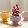 Creative Ceramic Flowerpot Petal-Rim / Lotus Shape Succulent Planter Desktop Ornament for Home Garden Decor