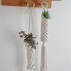 Plant Hanger Hanging Air Pineapples Plant Holder Wall Plant Flower Handmade Basket Display Stand Home Decorations
