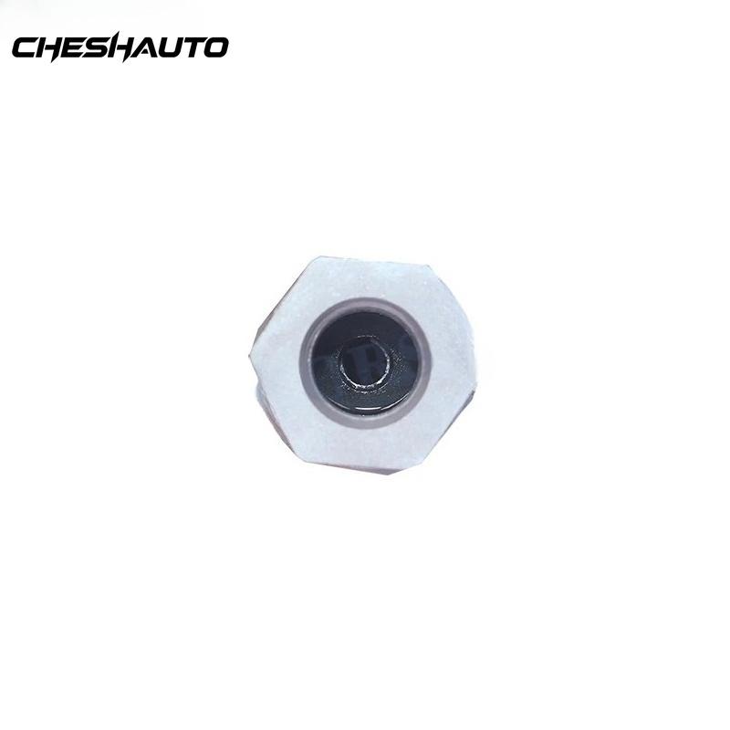 1110010021 Pressure Relief Valve for Man Truck Auto Part