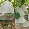 Biodegradable Grape Protection Bags: Rainproof, Insect-Proof, Bird-Proof, and Breathable