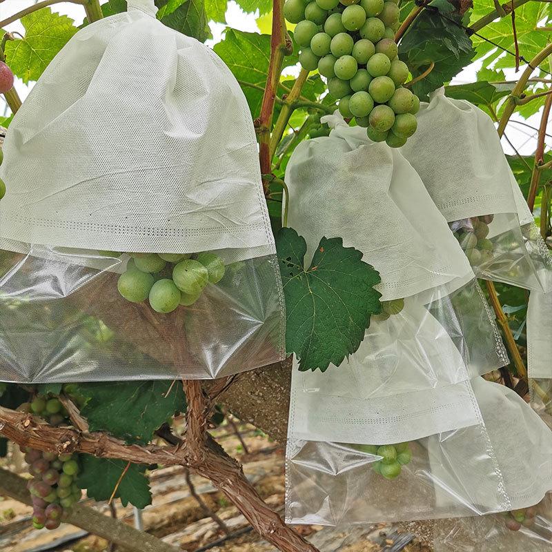 Biodegradable Grape Protection Bags: Rainproof, Insect-Proof, Bird-Proof, and Breathable