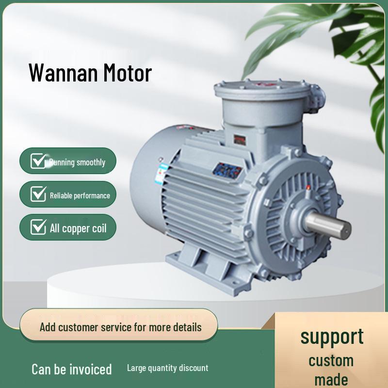Wannan YBX3 High-Efficiency Explosion-Proof Three-Phase Motor