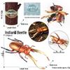 4D Insect Model Toy Set: Ladybug, Stag Beetle, Centipede, Ant, Fly, Mantis