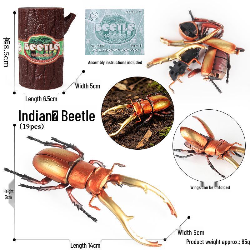 4D Insect Model Toy Set: Ladybug, Stag Beetle, Centipede, Ant, Fly, Mantis