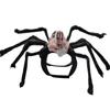 Spider and Skull Costume for Small to Medium Pets