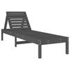 VidaXL Lot de 2 Chaises Longues, Bain de Soleil, Transat de Terrasse, Siège de Jardin Patio Balcon Extérieur, Gris Bois 825070