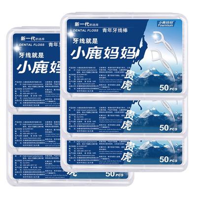 Classic Guihu Youth Dental Floss Picks, 300 Count