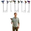 Metal Garden Stake Butterfly and Dragonfly Decorative Plant Pot Ornament Outdoor Yard Lawn Art Sculpture with Ground Insert