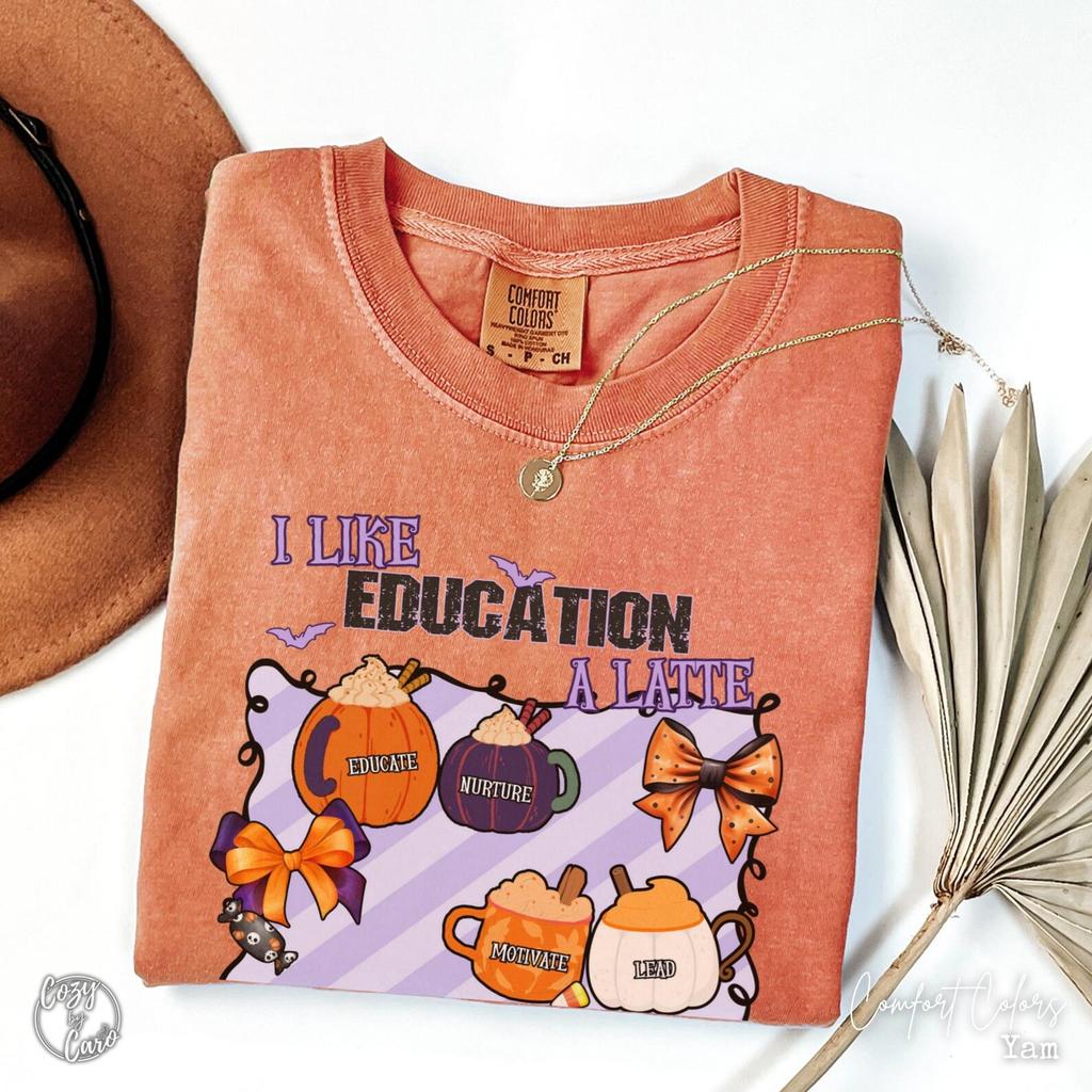Halloween Education T-Shirt, Teacher Appreciation Tee, Fall ECE Tee, Punny Principal Shirt, Early Childhood Educator, Autumn Teacher Shirt