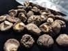 Yunnan Specialty Dried Shiitake Mushrooms, Four Seasons Premium Choice, 250g.