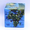 3x3x3 Earth Pattern Magic Cube Speed Puzzle Cube for Brain Training for Adult Children Playing Kit