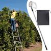 Teleskopischer Obstpflücker Verstellbarer Obstbaum-Pflücker Rostfreies Edelstahl-Gadget Greifwerkzeug mit ausziehbarem Design