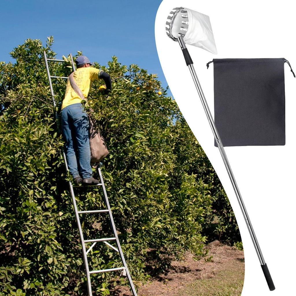 Telescopic Fruit Picker Adjustable Fruit Tree Picker Stainless Steel Rust-Proof Gadget Reacher Tool with Extendable Design