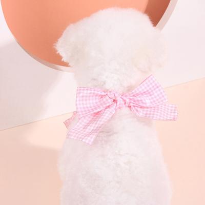 Abbigliamento e scarpe – Accessori per cani