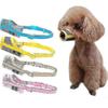 Cães – Produtos para treino de animais