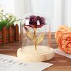Small 11K glass cover gold foil roses, Christmas and Valentine's Day gifts, creative simulated flower small gifts