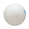 MIKASA Soft 60cm preschoolers to elementary school Dodgeball, (for students), 200g, White, LD-W