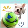 Kichern Wackeln Wedeln Ball Hund Spiel Training Sport Haustier Spielzeug Lustiges Geräusch Kauen Welpe