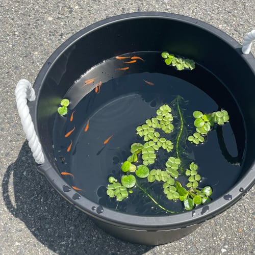 Heiwa Industrial Multi-Purpose Tub, 30L, Black