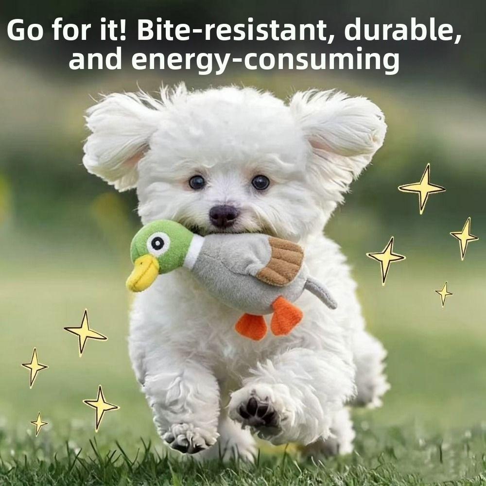 Bite-resistant Plush Duck Dog Toy Soft Plush Dog Chew Toy Cute Design Squeaky Dog Toy Puppy Play